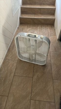 Fan
