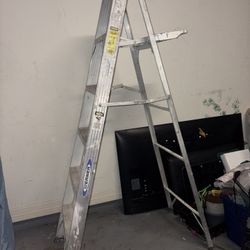 Latter Tall 