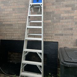 Werner Step Ladder