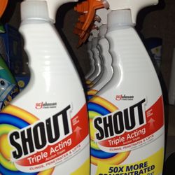 Shout Stain Remover
