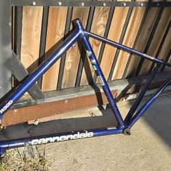 Cannondale R300 Frame