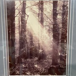 antique photo frame13x17