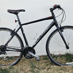 Trek 7.2 FX Hybrid - Large 20” - Professionally Refurbished