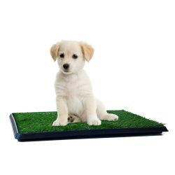Artificial Grass Puppy Pad For Dogs And Small Pets – Portable Training Pad With Tray – Dog Housebreaking Supplies By PETMAKER (16" X 20")