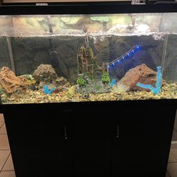 90 Gallon Fish Tank Everything Included 