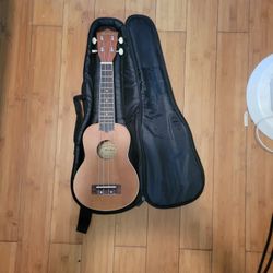 Mitchell Ukelele in tune with soft case