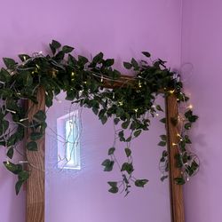 Led vines