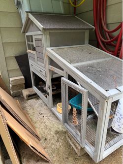 Rabbit hutch