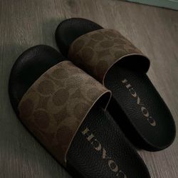Brown Coach Slides