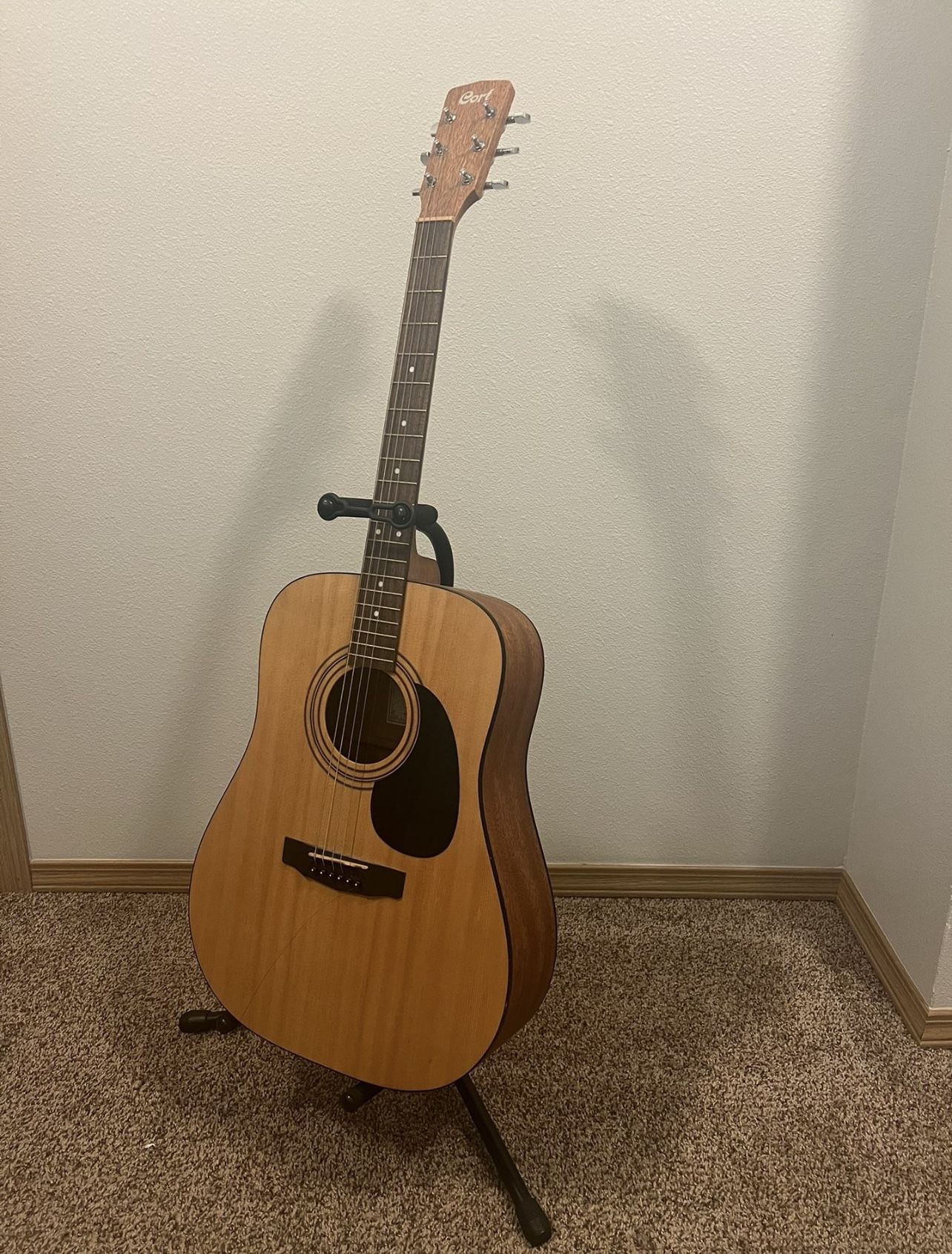 Cort Acoustic Guitar