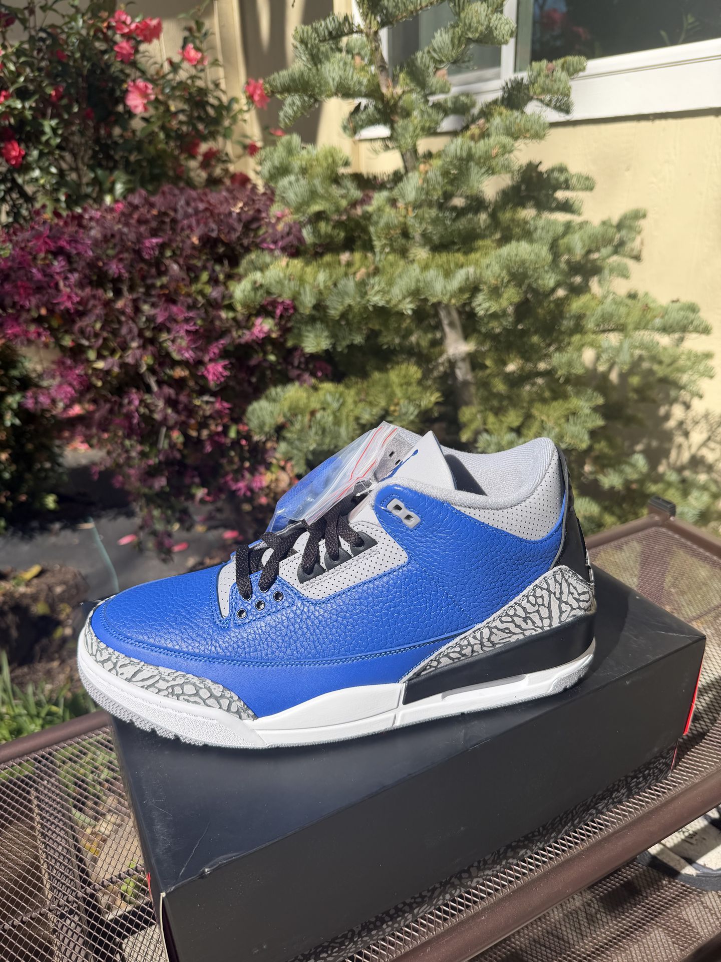 DS Air Jordan 3 Retro Varsity Royal
