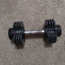25 Pounds Dumbbell