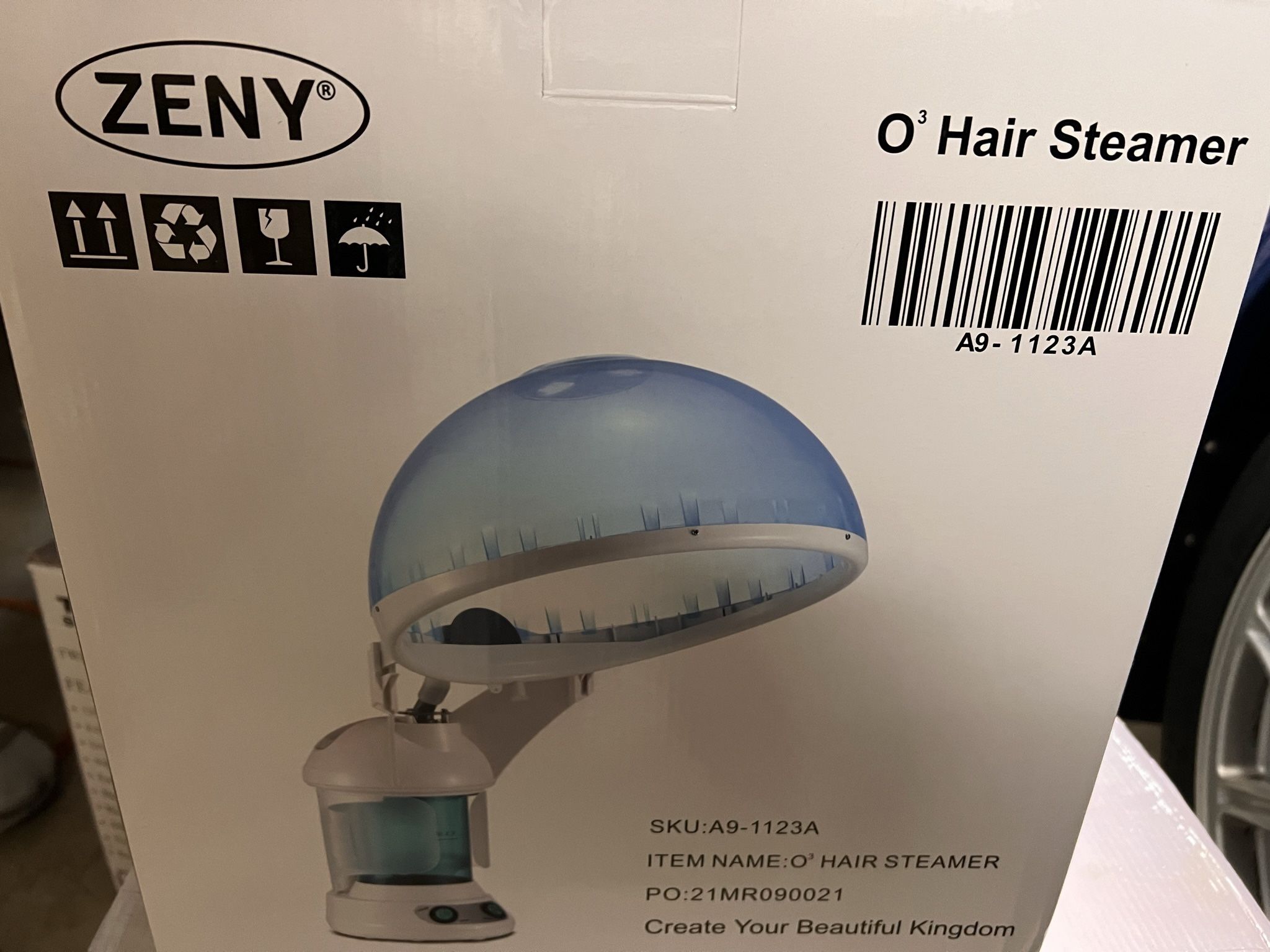 Hair Steamer