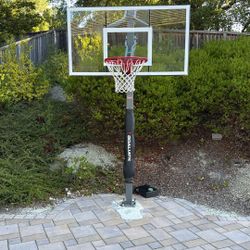 Goliath Basketball Hoop