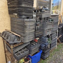 1,000s Of Planter Pots. Can Deliver 