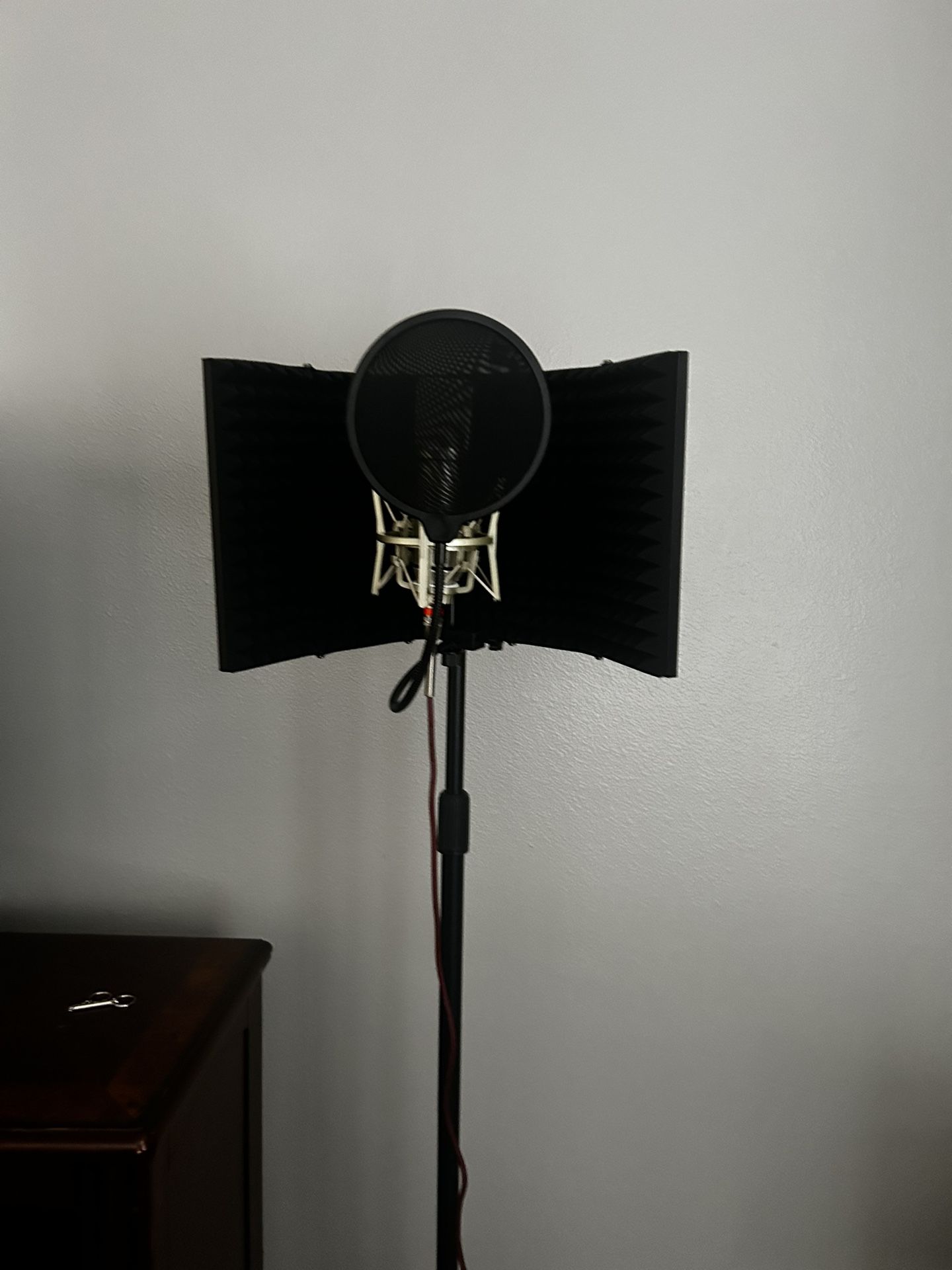 Studio Microphone