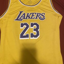 Lakers “Lebron James” Jersey NBA