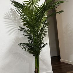 Fake Plant 
