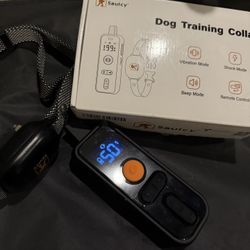Dog Training Collar 