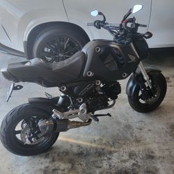 2023 Honda Grom