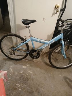 Bicycle