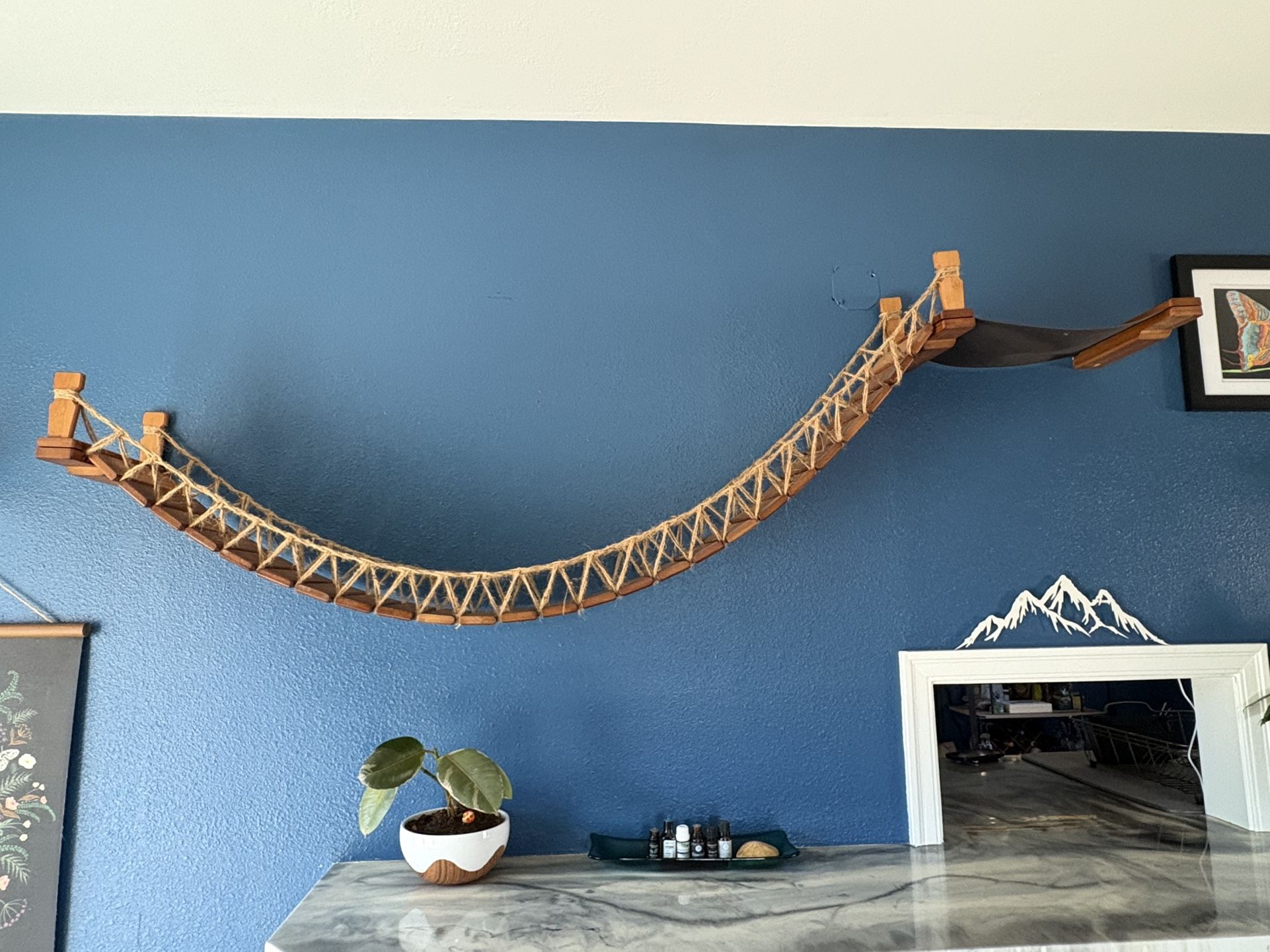 Cat Bridge and Platform