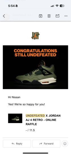 Jordan 4 Undefeated