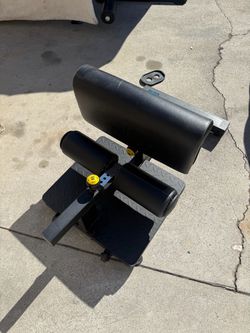 power tec sissy squat roman chair