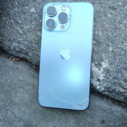 Apple iPhone 13 