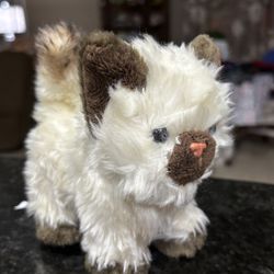 American Girl Kitten