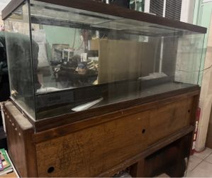 60 Gallon Glass Aquarium