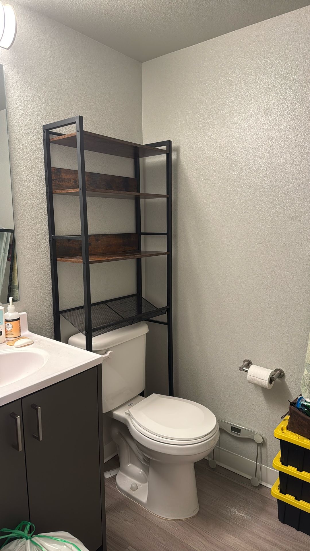 Bathroom shelves (over the toilet) 