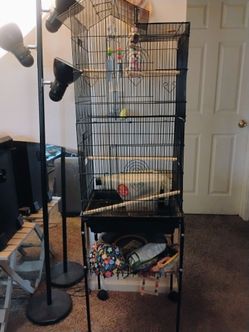Bird cage