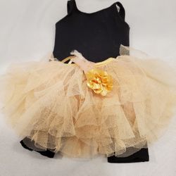 American Girl Isabelle performance unitard tutu