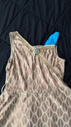 Disney’s Pocahontas girls costume