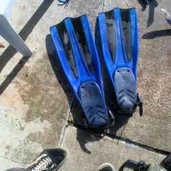 Flippers