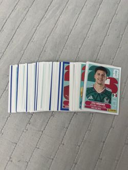 Panini Stickers!
