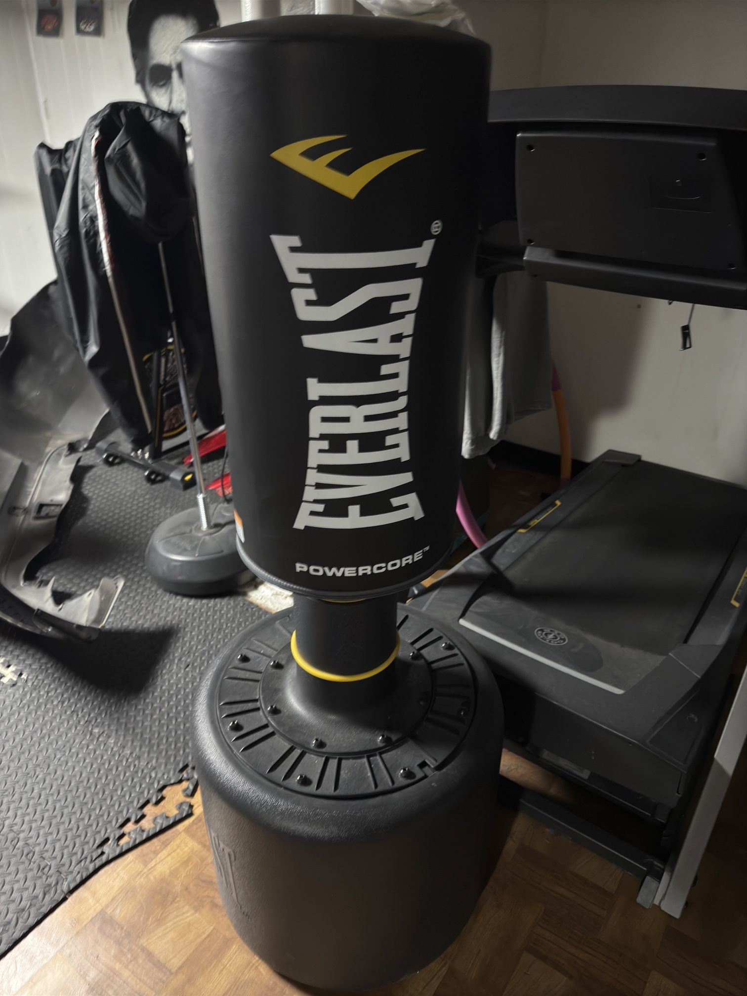 Everlast Standing Punching Bag