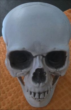 Halloween Decoration