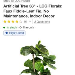 Artificial fig plant 