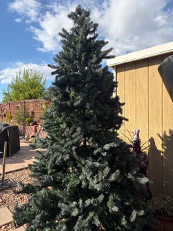 Large 9 ft needs new lights