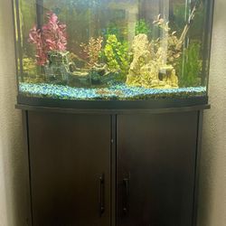 Aquarium & Stand Ensemble - 36 Gallon