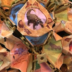 Hoberman Dinosaur Dome