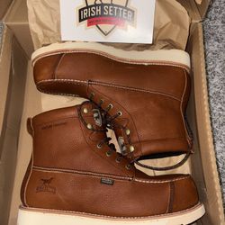 Irish Setter Wingshooter St