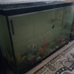 115 Gallon Double Thick Aquarium 