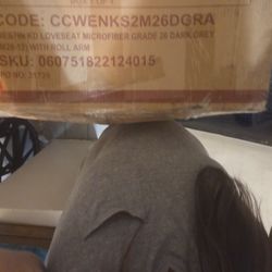 Westinghouse  Love Seat Microfiber 