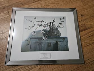 Apple Blossom 24x20 Silver Framed Art Print by Campanelli, Pauline Eble