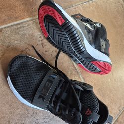 New In Box Reebok Sneakers