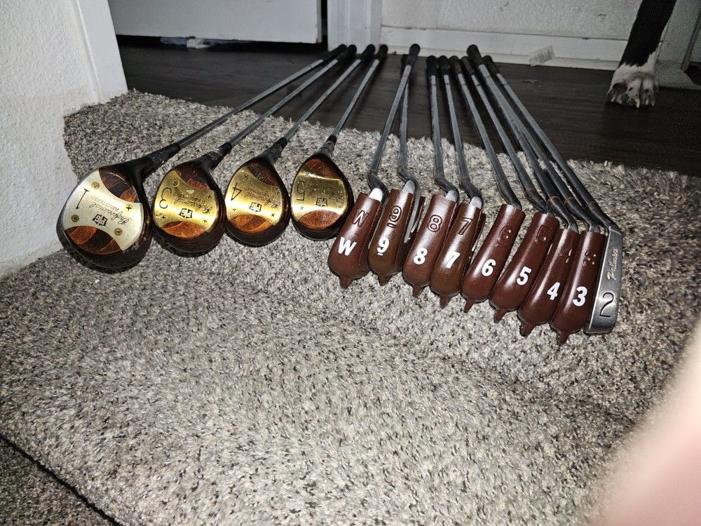 Arnold Palmer Professional Registered club set