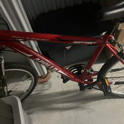 Mountain Bike $250 OBO